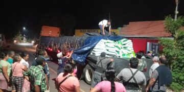 Inicia distribución de semilla de maíz para fortalecer la producción nacional y anticiparse a El Niño