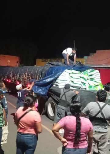 Inicia distribución de semilla de maíz para fortalecer la producción nacional y anticiparse a El Niño