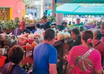 Agromercados se consolidan como opción accesible para las familias salvadoreñas