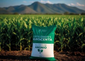 Agricultores acceden a fertilizantes económicos mediante compras colectivas impulsadas por el Gobierno