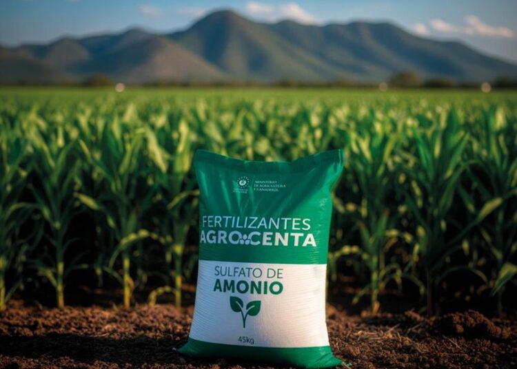 Agricultores acceden a fertilizantes económicos mediante compras colectivas impulsadas por el Gobierno