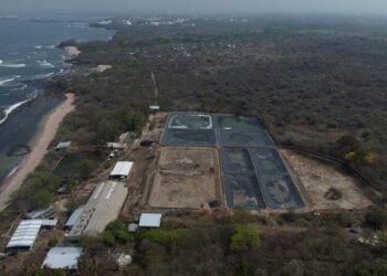 Avances en estación acuícola de Los Cóbanos impulsan fortalecimiento del sector pesquero