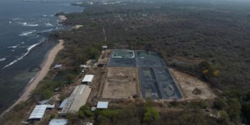 Avances en estación acuícola de Los Cóbanos impulsan fortalecimiento del sector pesquero