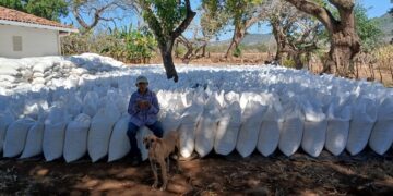 Censo 2025 revela el papel clave del agro en la economía y la seguridad alimentaria de El Salvador