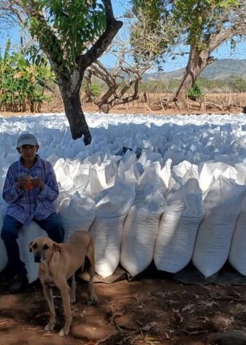 Censo 2025 revela el papel clave del agro en la economía y la seguridad alimentaria de El Salvador