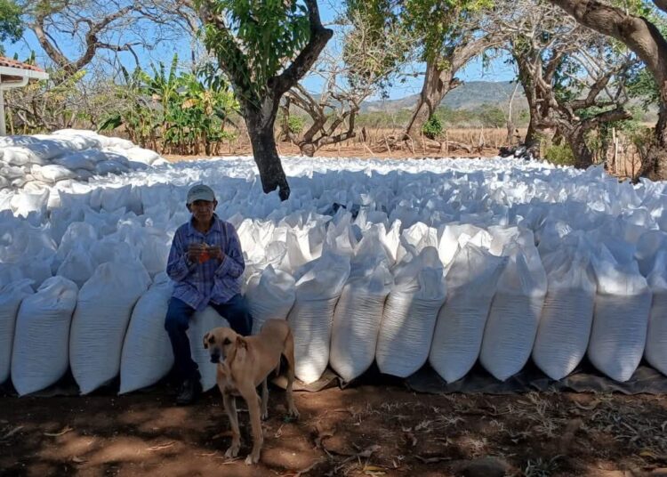 Censo 2025 revela el papel clave del agro en la economía y la seguridad alimentaria de El Salvador
