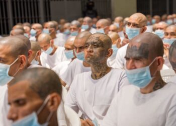 Audiencia contra la MS-13 reúne a 486 cabecillas en un proceso judicial masivo por miles de delitos