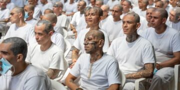 Testigos señalan a ranfla de la MS-13 como responsable de más de 9 mil crímenes