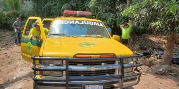 Cuatro hombres son auxiliados tras ataque de enjambre de abejas en Guazapa