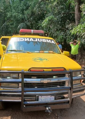 Cuatro hombres son auxiliados tras ataque de enjambre de abejas en Guazapa