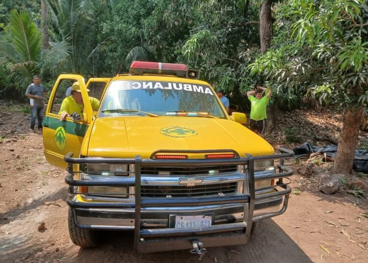 Cuatro hombres son auxiliados tras ataque de enjambre de abejas en Guazapa