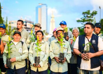Alcaldía de San Salvador Centro regalará 10 mil plantas para celebrar el día de la madre tierra