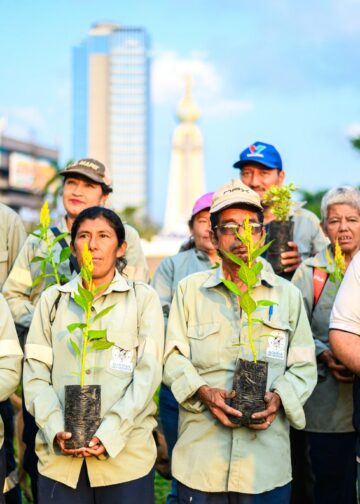 Alcaldía de San Salvador Centro regalará 10 mil plantas para celebrar el día de la madre tierra