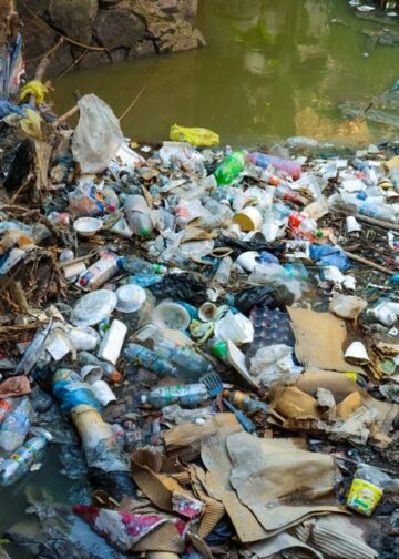 Alcaldía de San Salvador Centro limpia quebrada Tinetti y llama a evitar arrojar basura en drenajes