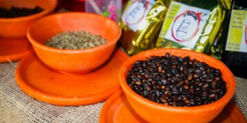 Chalatenango celebra el Festival del Café y resalta su tradición cafetalera y atractivo turístico