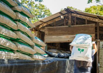 Productores reciben abono para prepararse para la siembra