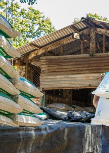 Productores reciben abono para prepararse para la siembra