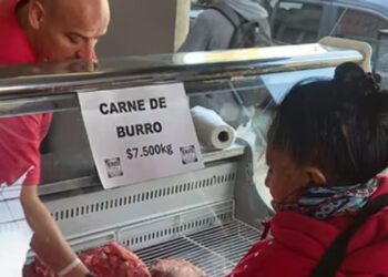 Carne de burro gana espacio en mercados locales del sur argentino ante crisis de escasez de carne de vaca