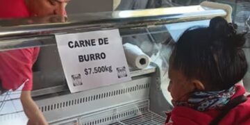 Carne de burro gana espacio en mercados locales del sur argentino ante crisis de escasez de carne de vaca