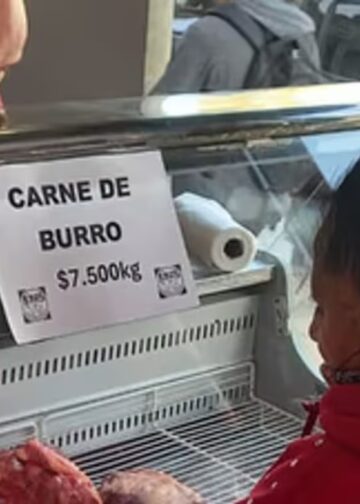 Carne de burro gana espacio en mercados locales del sur argentino ante crisis de escasez de carne de vaca