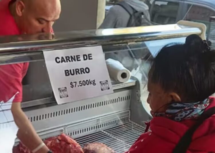 Carne de burro gana espacio en mercados locales del sur argentino ante crisis de escasez de carne de vaca