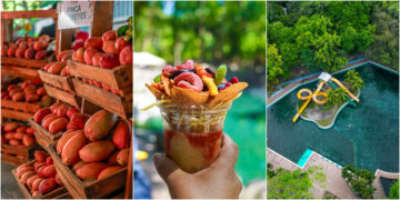 Expo Mango 2026 reunirá gastronomía, música y diversión familiar en Ichanmichen