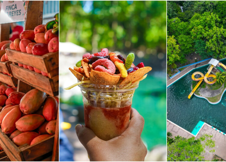 Expo Mango 2026 reunirá gastronomía, música y diversión familiar en Ichanmichen