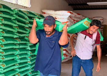Entrega de insumos y apoyo técnico impulsa la siembra y protege cultivos ante sequías en el país