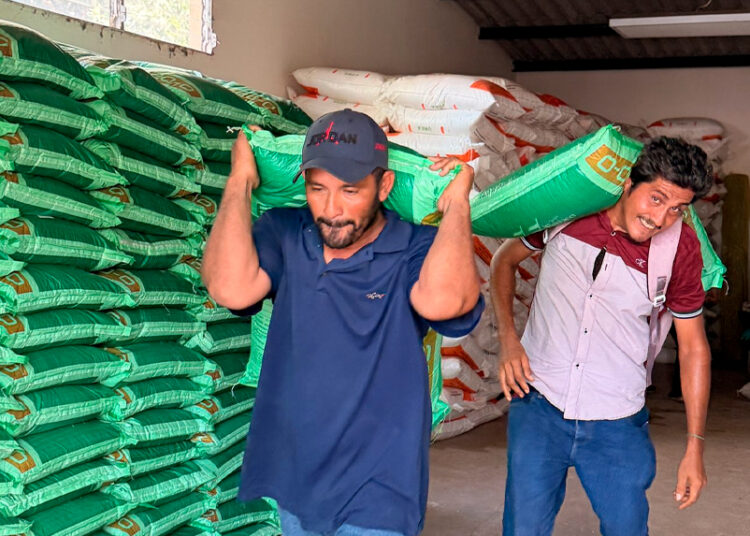 Entrega de insumos y apoyo técnico impulsa la siembra y protege cultivos ante sequías en el país