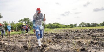 MAG advierte riesgos en siembras de junio y pide a productores guiarse por pronósticos oficiales ante posible canícula prolongada