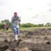 MAG advierte riesgos en siembras de junio y pide a productores guiarse por pronósticos oficiales ante posible canícula prolongada