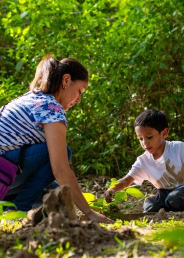 Reforestación en el parque bicentenario promueve el cuidado del medio ambiente