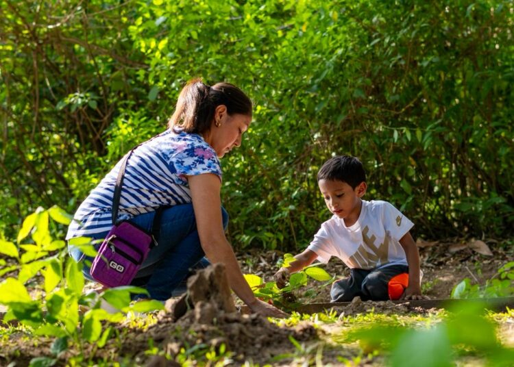 Reforestación en el parque bicentenario promueve el cuidado del medio ambiente