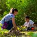 Reforestación en el parque bicentenario promueve el cuidado del medio ambiente