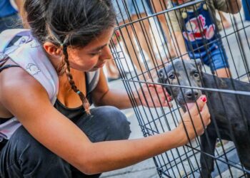 Alegría que transforma vidas: adopción de mascotas llena de esperanza el centro histórico de San Salvador