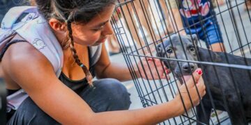 Alegría que transforma vidas: adopción de mascotas llena de esperanza el centro histórico de San Salvador