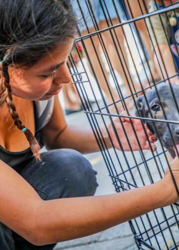 Alegría que transforma vidas: adopción de mascotas llena de esperanza el centro histórico de San Salvador