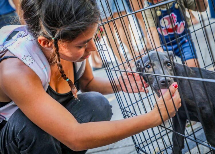 Alegría que transforma vidas: adopción de mascotas llena de esperanza el centro histórico de San Salvador