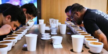 Café salvadoreño es promovido en México para ampliar oportunidades de exportación