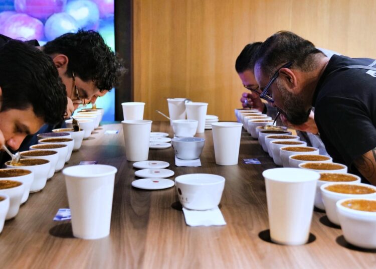 Café salvadoreño es promovido en México para ampliar oportunidades de exportación