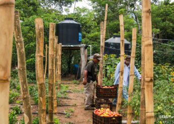 Proyecto RECLIMA impulsa sistemas de riego y agricultura resiliente en Usulután Norte