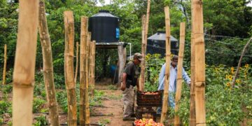 Proyecto RECLIMA impulsa sistemas de riego y agricultura resiliente en Usulután Norte