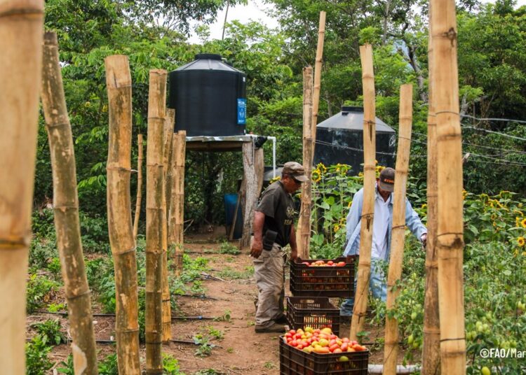 Proyecto RECLIMA impulsa sistemas de riego y agricultura resiliente en Usulután Norte