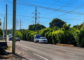 Motociclista pierde la vida tras chocar contra un árbol en Altavista
