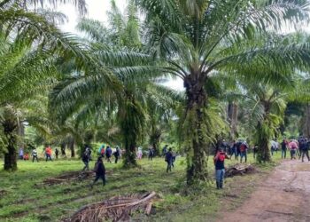 11 personas fueron ultimadas a balazos en una finca de trujillo, honduras