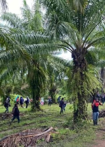11 personas fueron ultimadas a balazos en una finca de trujillo, honduras