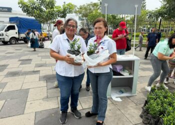 Mop impulsa entrega de plantas en el centro histórico para fomentar la reforestación