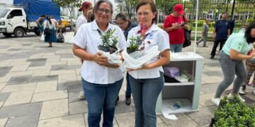 Mop impulsa entrega de plantas en el centro histórico para fomentar la reforestación