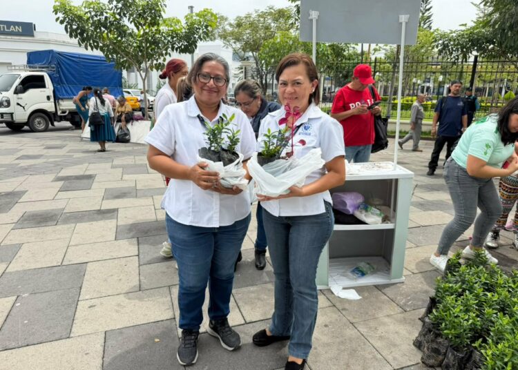 Mop impulsa entrega de plantas en el centro histórico para fomentar la reforestación