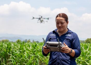 Alianza impulsa uso de drones agrícolas para reducir costos y modernizar la producción nacional
